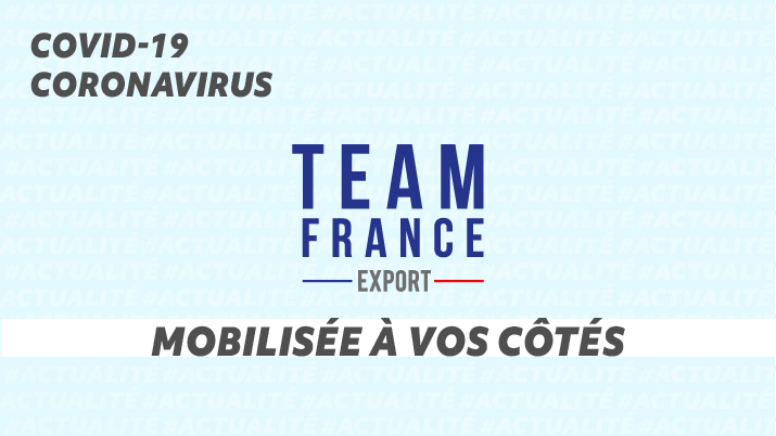 Les 170 webinaires de la Team France Export