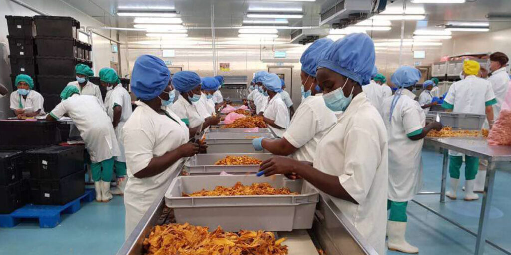 Agroalimentaire africain : le moyen de conjuguer rentabilité et impact