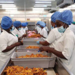 Agroalimentaire africain : le moyen de conjuguer rentabilité et impact Agroalimentaire africain : le moyen de conjuguer rentabilité et impact