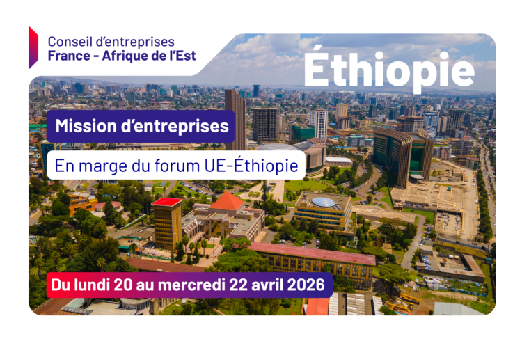 Mission économique en Éthiopie avec le Medef International